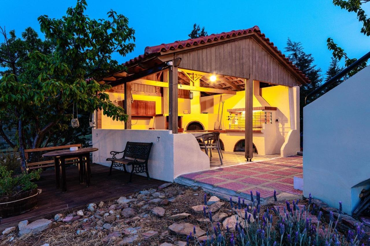 Superb Villa,With Amazing Seaviews & Huge Pool! Somatás エクステリア 写真